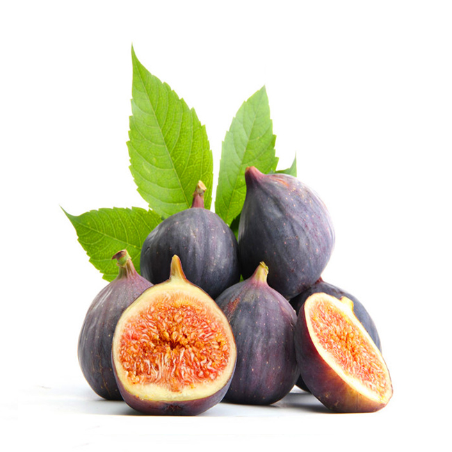 GoSafe650 safe driving multi-function vehicle traveling data recorder