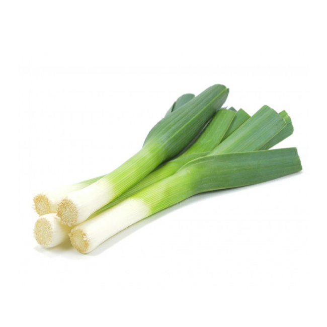 As I swim D588 high-definition vehicle